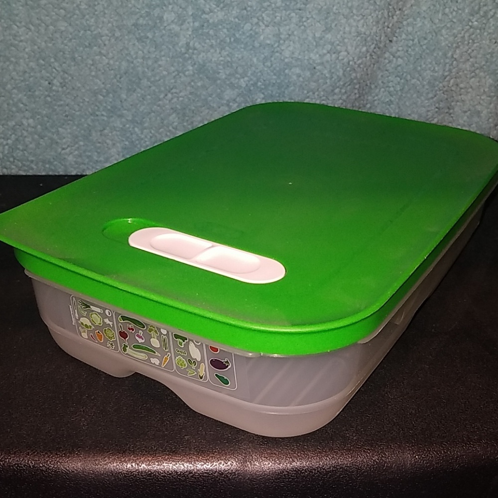 Tupperware fridge smart